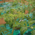 085003_20181016103413_02.JPG