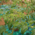 085003_20181016103413_04.JPG