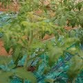 085003_20181016103414_01.JPG