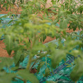 085003_20181016103414_02.JPG