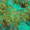 085003_20181016103428_01.JPG