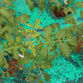 085003_20181016103428_02.JPG