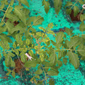 085003_20181016103428_03.JPG