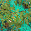 085003_20181016103428_05.JPG