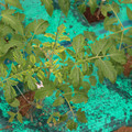 085003_20181016103429_01.JPG