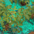 085003_20181016103429_02.JPG
