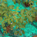 085003_20181016103429_03.JPG