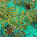 085003_20181016103430_02.JPG