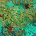 085003_20181016103430_03.JPG