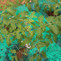 085003_20181016103430_05.JPG
