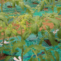 085003_20181016103433_04.JPG