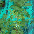 085003_20181016103440_01.JPG