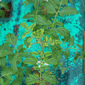 085003_20181016103440_02.JPG