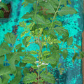 085003_20181016103440_03.JPG