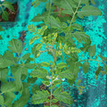 085003_20181016103440_04.JPG