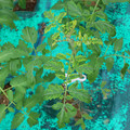 085003_20181016103441_03.JPG