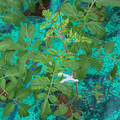 085003_20181016103442_01.JPG
