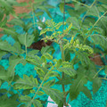 085003_20181016103444_05.JPG