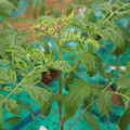 085003_20181016103447_01.JPG