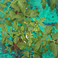 085003_20181016103457_01.JPG