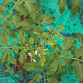 085003_20181016103457_03.JPG