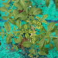 085003_20181016103458_01.JPG