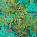 085003_20181016103458_03.JPG