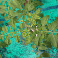 085003_20181016103500_01.JPG