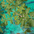 085003_20181016103500_02.JPG