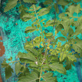 085003_20181016103500_04.JPG