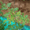 085003_20181016103520_02.JPG