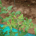 085003_20181016103521_01.JPG