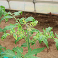 085003_20181016103523_03.JPG