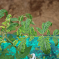 085003_20181016103529_04.JPG
