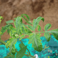 085003_20181016103531_01.JPG