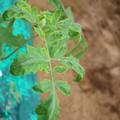085003_20181016103531_03.JPG