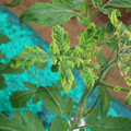 085003_20181016103535_01.JPG