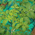 085003_20181016103553_01.JPG