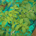 085003_20181016103553_02.JPG