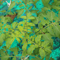 085003_20181016103553_04.JPG