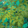 085003_20181016103553_05.JPG