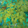 085003_20181016103611_02.JPG