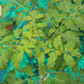 085003_20181016103611_05.JPG