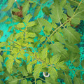085003_20181016103613_02.JPG