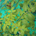 085003_20181016103613_04.JPG