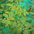 085003_20181016103613_05.JPG