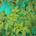 085003_20181016103614_02.JPG