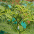 085003_20181016103623_01.JPG