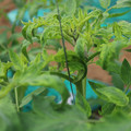 085003_20181016103629_01.JPG