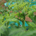 085003_20181016103629_02.JPG